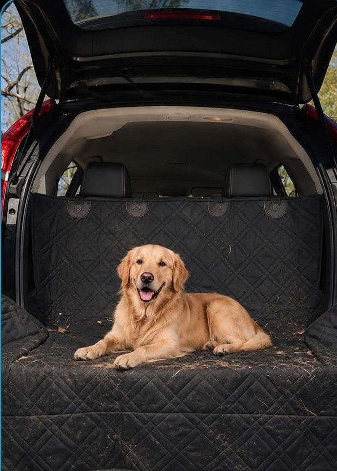 Golden retriever settled in the cargo area on the actual Bulldogology cover