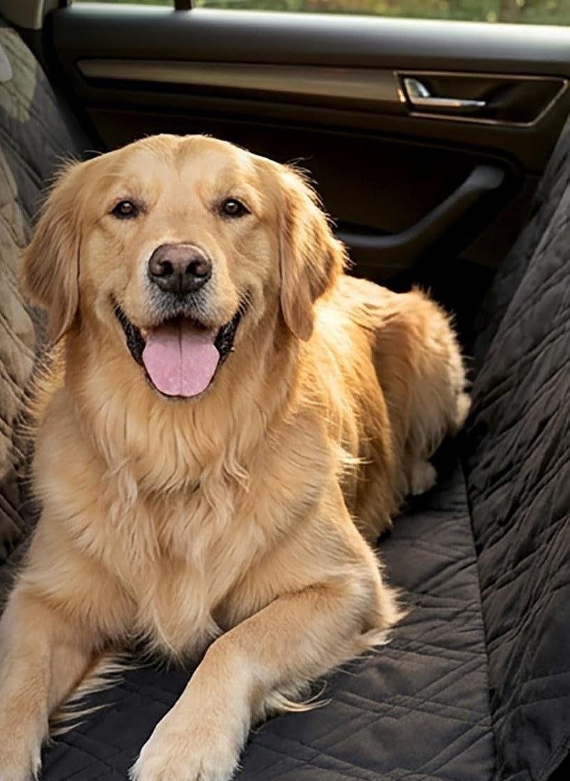 Golden retriever settled in the back seat on the actual Bulldogology seat cover